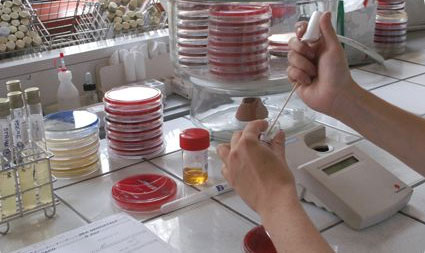 Produits pour microbiologie Maroc