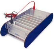 Electrophorèse